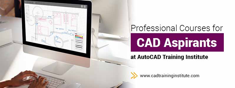 Professional Courses for CAD Aspirants at AutoCAD Training Institute